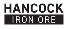 HIO Logo